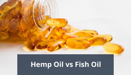 What Omega You Should Choose: Hemp Oil vs Fish Oil
